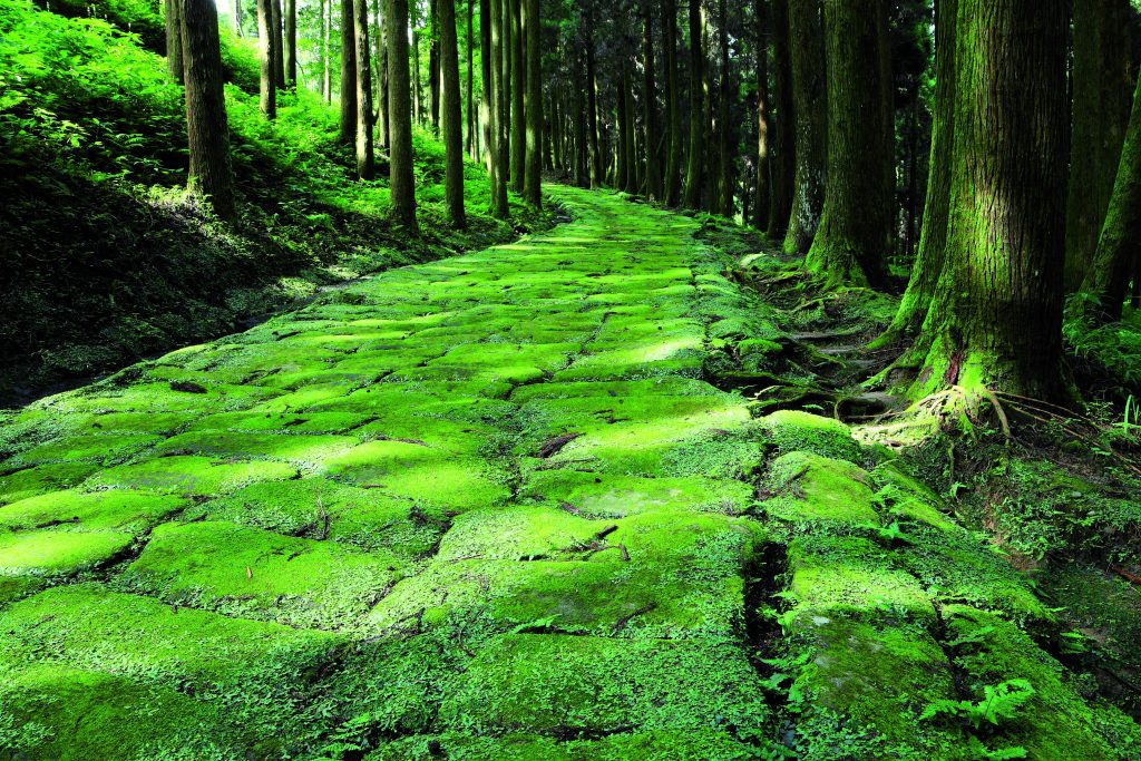 Tatsumonji Slope