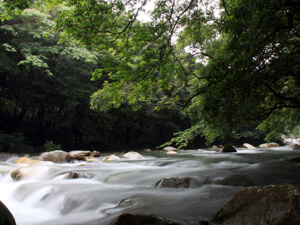 Sarugajo Valley Area Walk