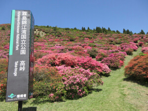 Takatoge Tsutsuji Hill Park